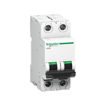 Schneider Electric 63A DP C-Curve ACTI9 10kA MCB (White, A9N2P63C)