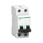 Schneider MCB 10A DP C-Curve ACTI9 10kA (A9N2P10C)