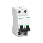 Schneider MCB 6A DP C-Curve ACTI9 10kA Miniature Circuit-Breaker, DIN Rail Mount (White) (A9N2P06C)