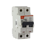 Tl L&T 20A 2 Pole (DP) MCB