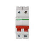 Schneider Electric Polycarbonate Acti 9 40-Ampere 2-Pole MCB Isolator (Standard Size, White) (SCPOLY-ISLTR)