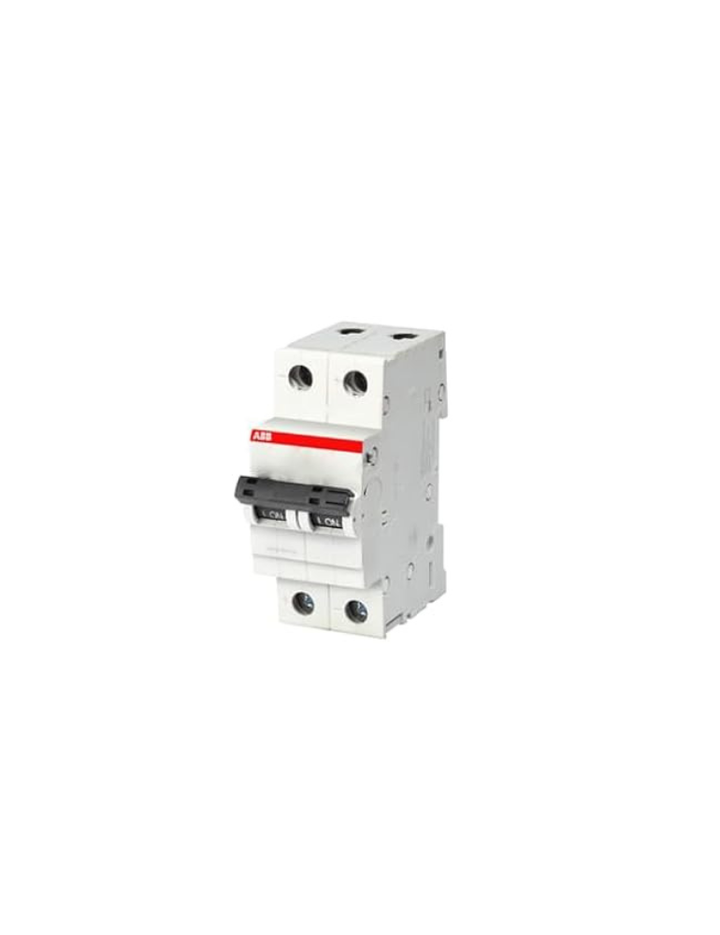 ABB 1Sys272012R0165-16A 2P - Mcb 10Ka B Type
