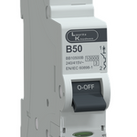 MCB SP 50A B-Curve 10kA