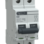 MCB DP 2A D-Curve 10kA
