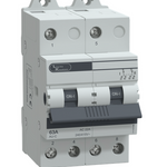 AU-C Changeover Switch, 2 Pole, 63A