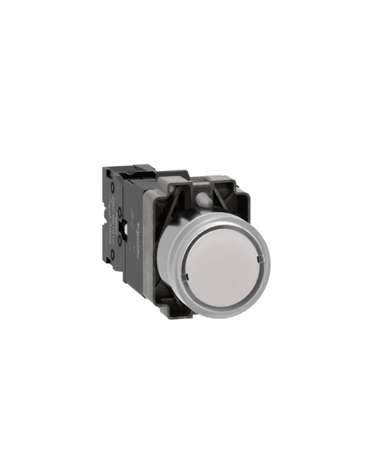 Illuminated push button, Easy Harmony XB2, metal, flush, white, 22mm, spring return, 24V AC DC, 1NO