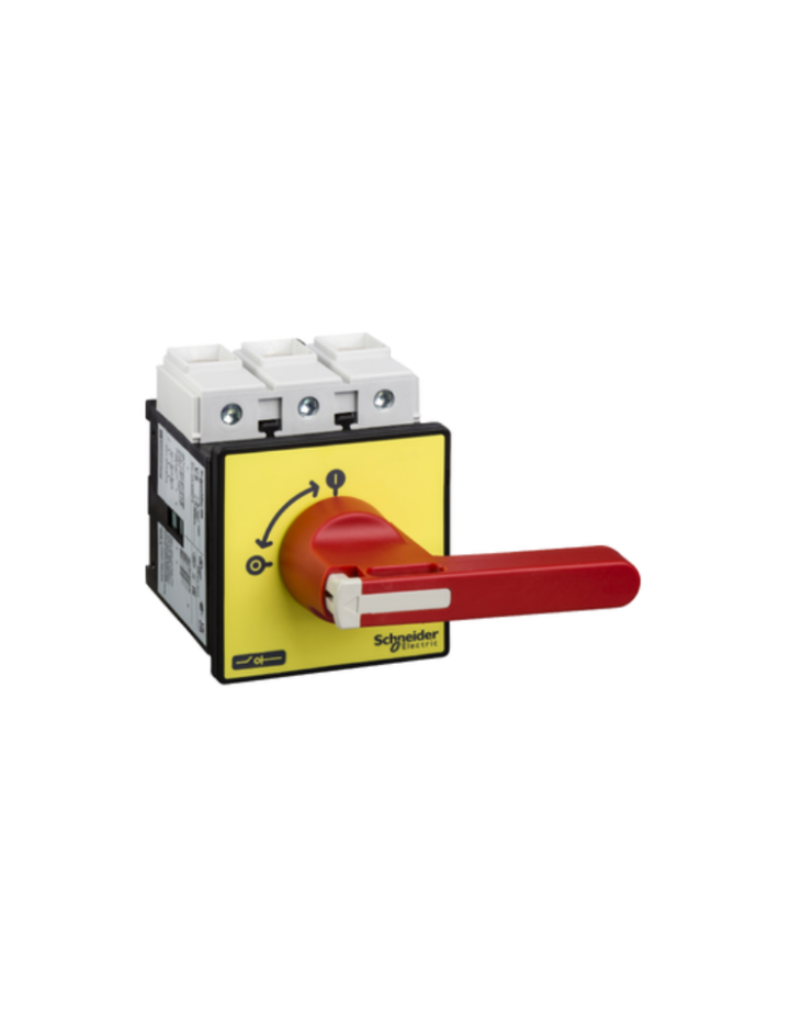 TeSys Vario - emergency stop switch disconnector - 175 A - on door