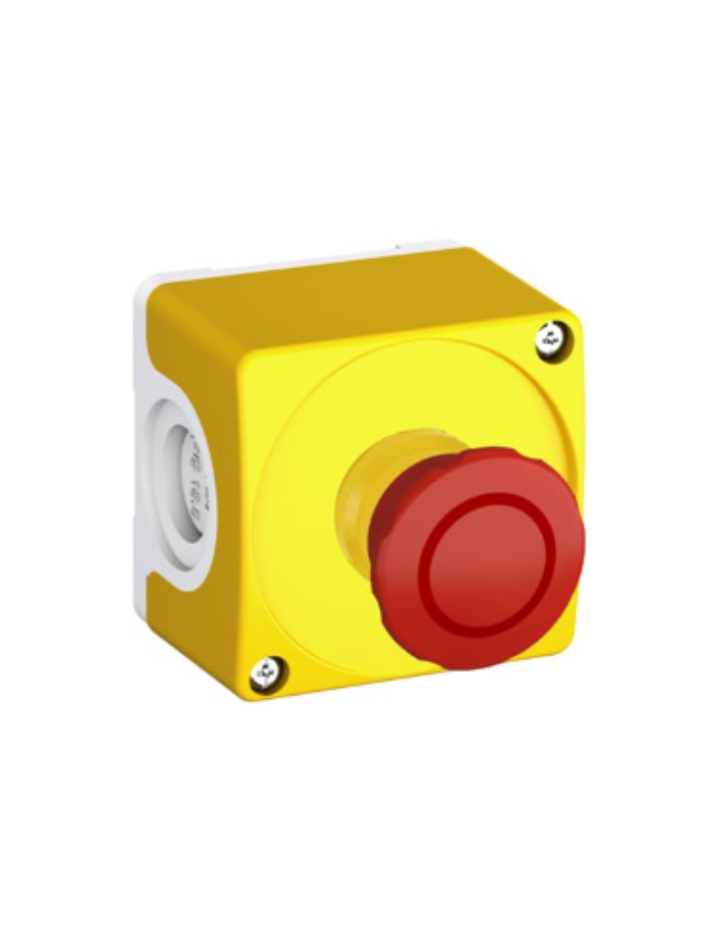 CEPY1-1002