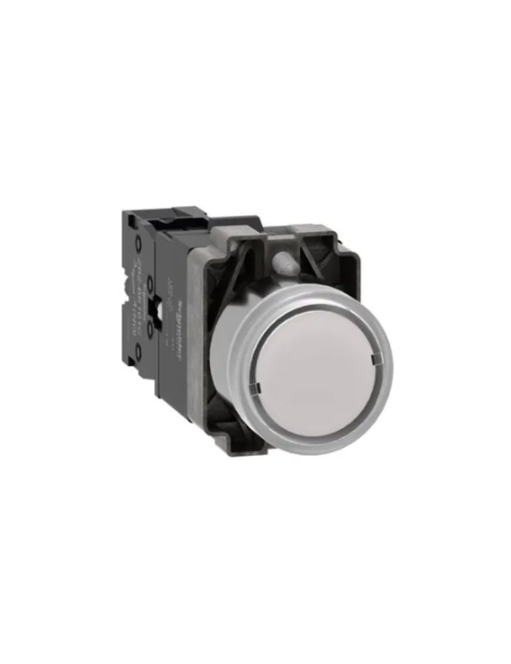 Illuminated push button, Easy Harmony XB2, metal, flush, white, 22mm, spring return, 220V AC, 1NO